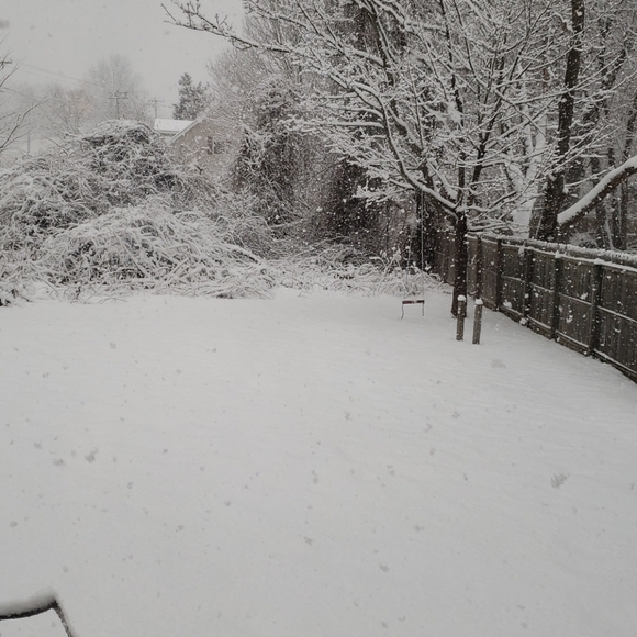 Snow - Picture 5 of 7